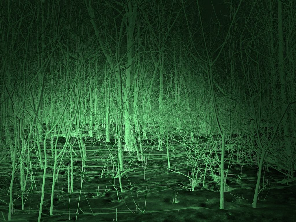 night vision scene