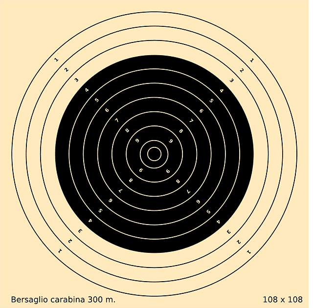 rifle target shooting