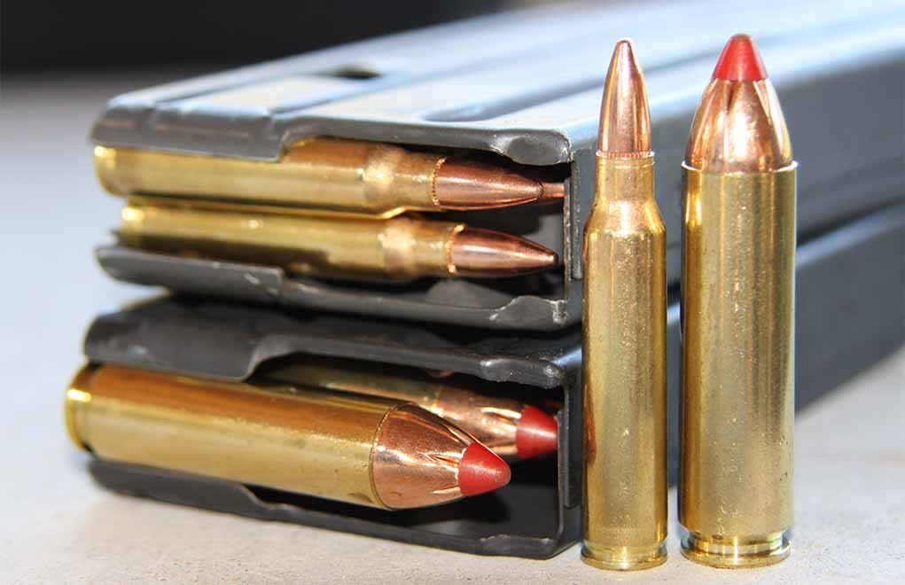450 Bushmaster Vs 458 Socom Vs 50 Beowulf .458 SOCOM vs .450 Bushmaster – 2022 Comparison - GunMann
