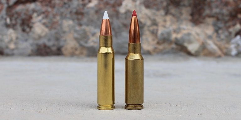 6.8 SPC vs 6.5 Grendel – A 2022 Guide - Gun Mann