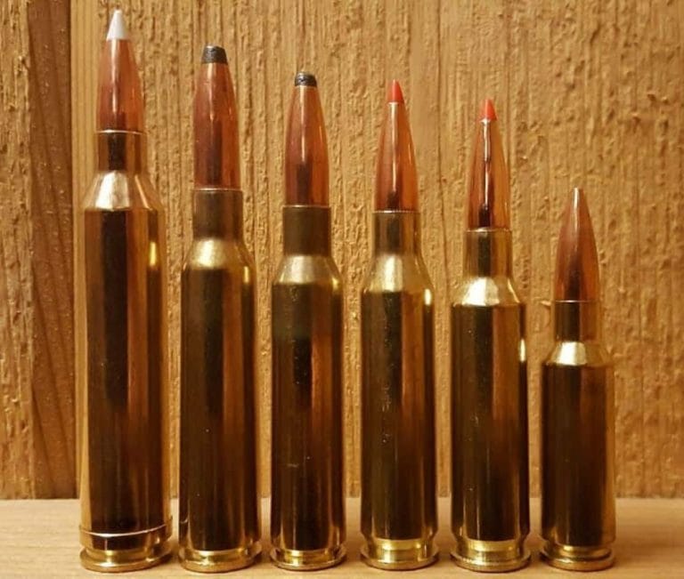 6.5 Grendel vs 6.5 Creedmoor 2024 Comparison Guide Gun Mann