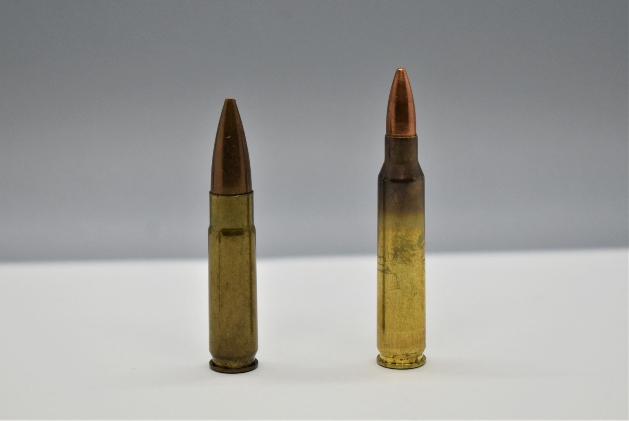 300 Blackout vs 556 - 2022 Comparison - Gun Mann