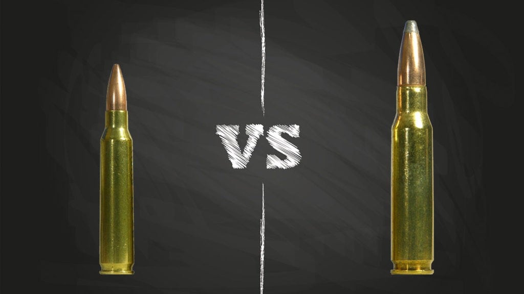 308-vs-556-2022-comparison-gun-mann