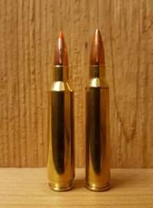 30 Nosler vs 300 Win Mag Ballistics & Uses - Gun Mann