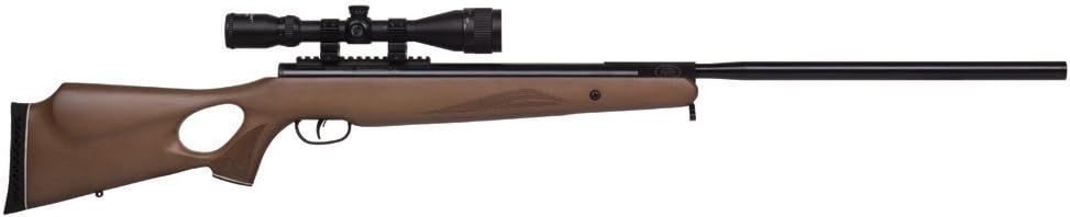 benjamin 22 air rifle