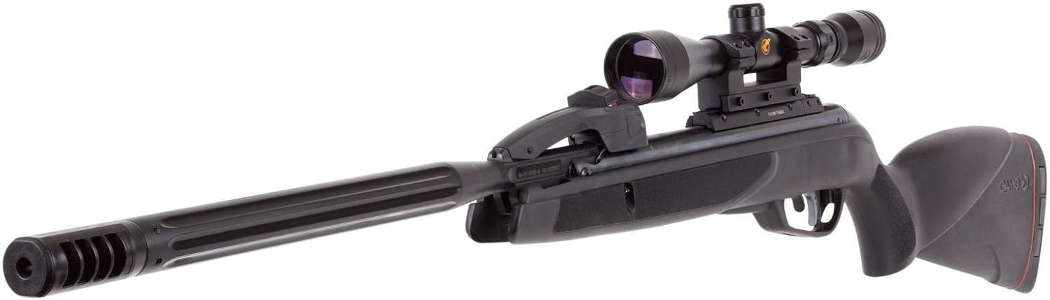 gamo air rifle 22