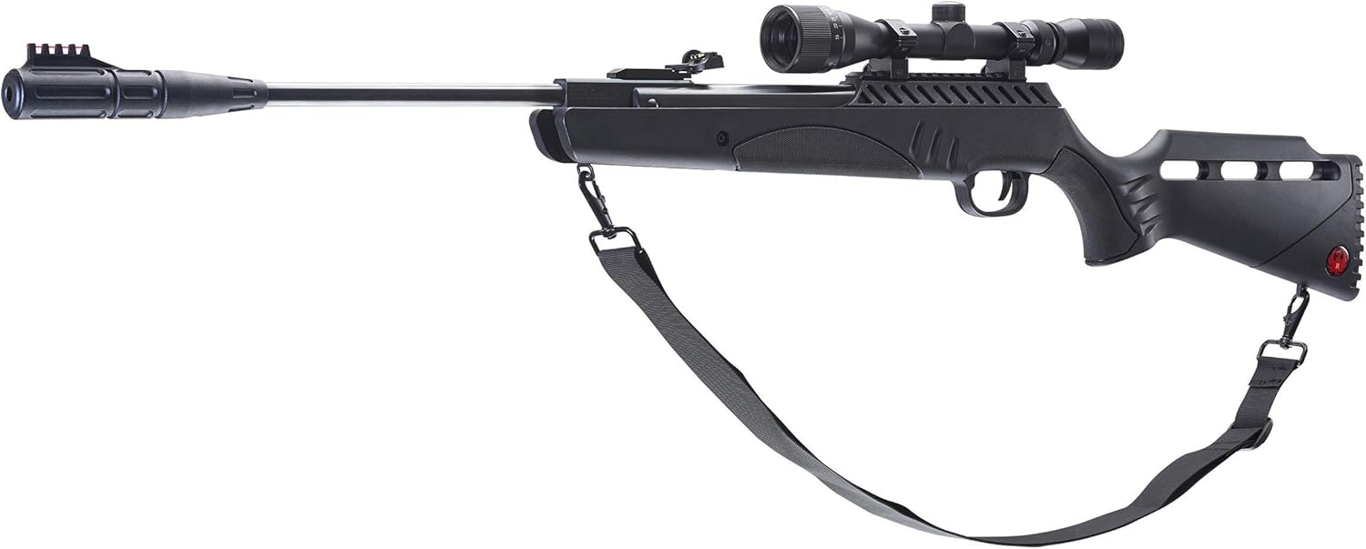 ruger targis air rifle